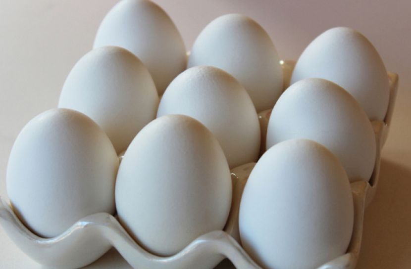 বিশ্ব ডিম দিবস আজ