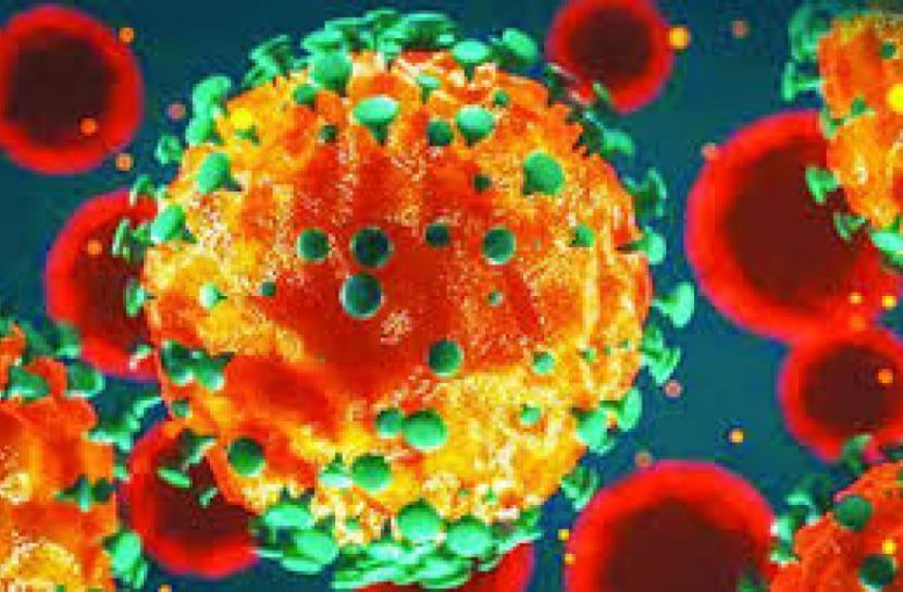 করোনায় ২৪ ঘণ্টায় ২৪ জনের মৃত্যু, শনাক্ত ১১৯৩