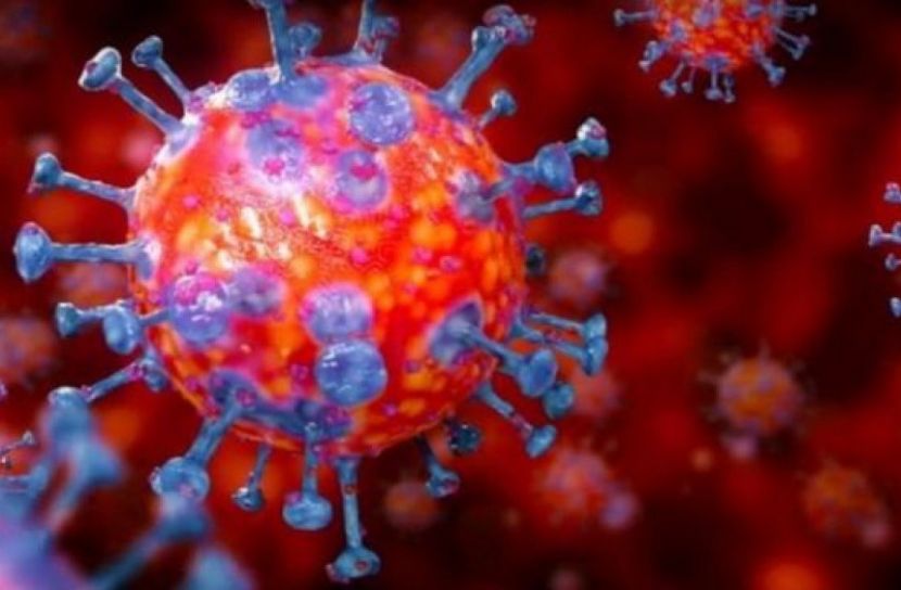 বাংলাদেশে করোনা আক্রান্তদের ৮২ শতাংশই  উপসর্গহীন