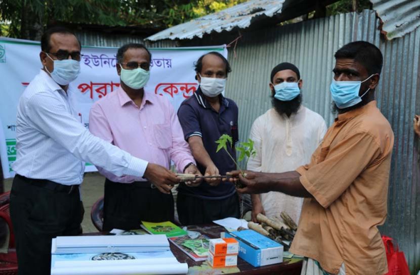 ভোলায় কৃষি পরামর্শ সভা অনুষ্ঠিত