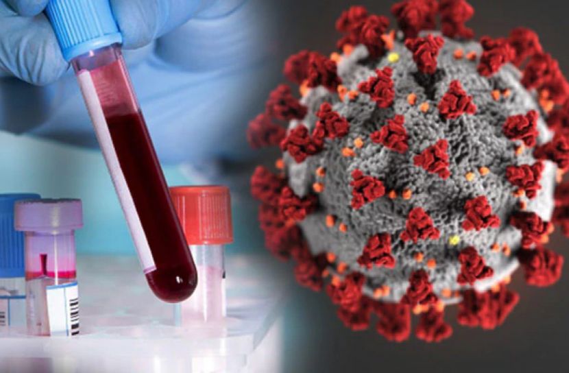  ৫ মাস পর্যন্ত থাকতে পারে অ্যান্টিবডি 