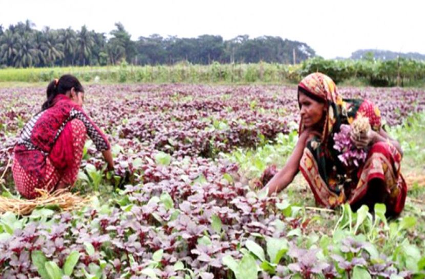 আজ আন্তর্জাতিক গ্রামীণ নারী দিবস