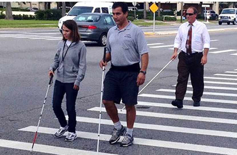 আজ বিশ্ব সাদাছড়ি নিরাপত্তা দিবস