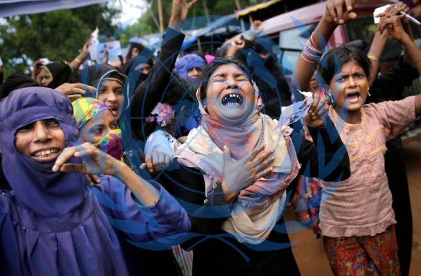 রোহিঙ্গাদের অর্থ জোগাড় করতে পারেনি জাতিসংঘ