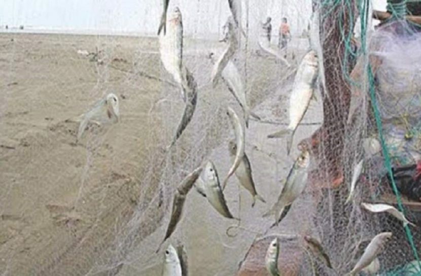 চাঁদপুরে কারেন্ট জালসহ ২ জেলে আটক