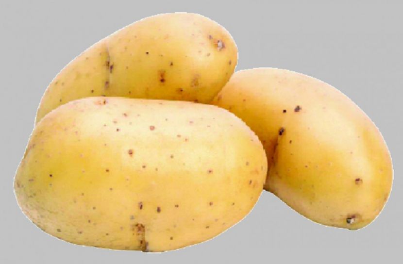 নির্ধারিত দামে বিক্রি হচ্ছে না আলু 