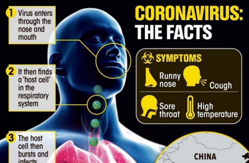 কোভিড-১৯ মস্তিষ্কের কোষ, স্মৃতি ও ভাষাকে আক্রান্ত করে : গবেষণা