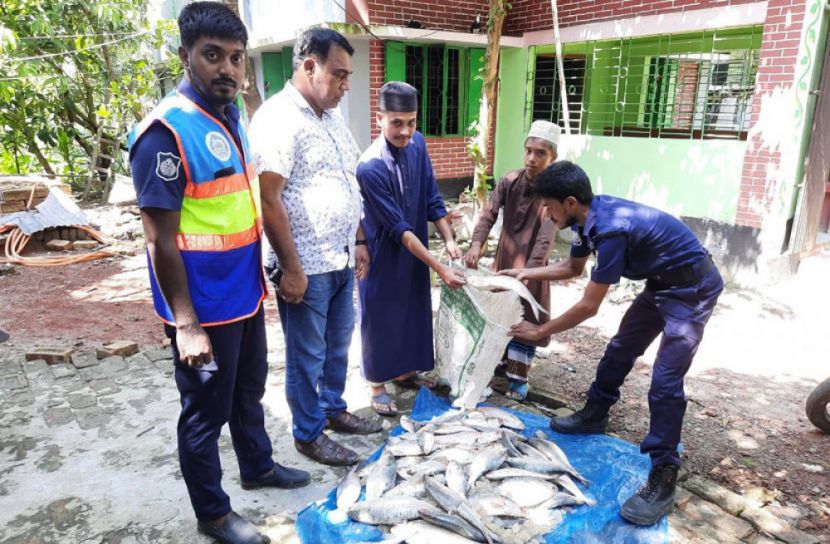 বরিশাল অঞ্চলে ৩ কোটি ৯০ লাখ টাকার জাল ও মাছ জব্দ