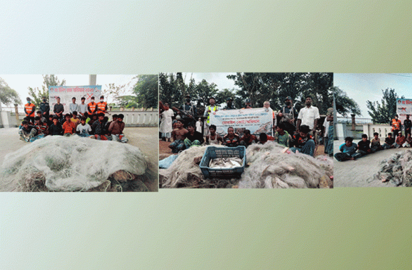 ৩৬ ইলিশ শিকারি আটক, ৩১ জনের কারাদণ্ড