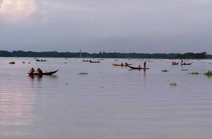 নিষেধাজ্ঞা অমান্য করে সুগন্ধা ও বিষখালী নদীতে চলছে মা ইলিশ নিধন