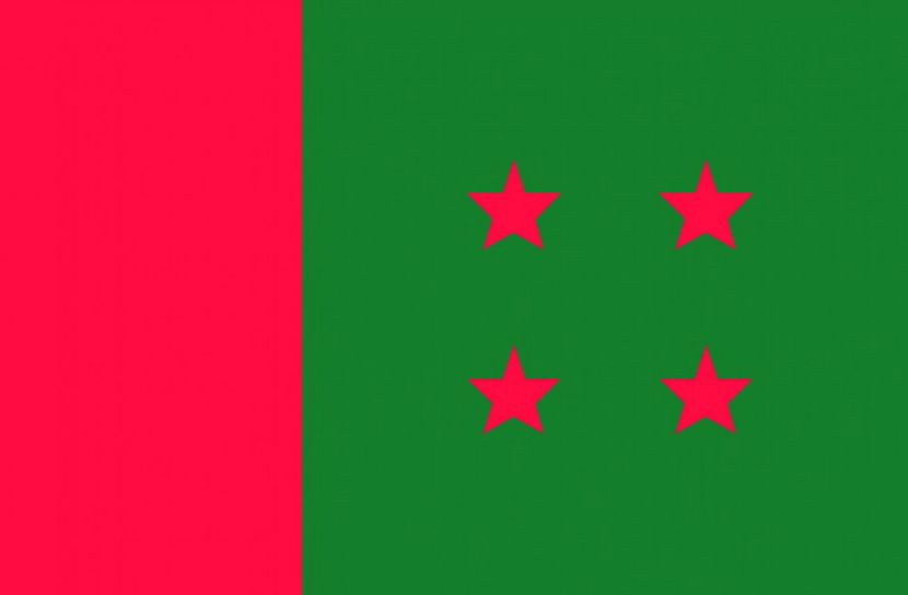 পূর্ণাঙ্গ কমিটি পেলো আ.লীগের ৫ সহযোগী সংগঠন