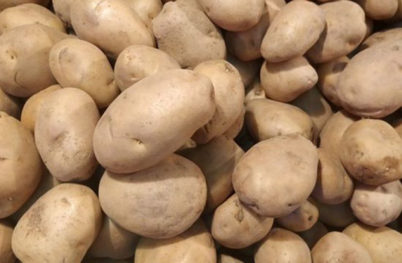 আলুর দাম ৩০ টাকা থেকে বাড়িয়ে পুনঃনির্ধারণ করা হবে : কৃষিমন্ত্রী