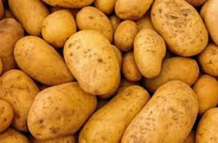 কমেনি আলুর দাম