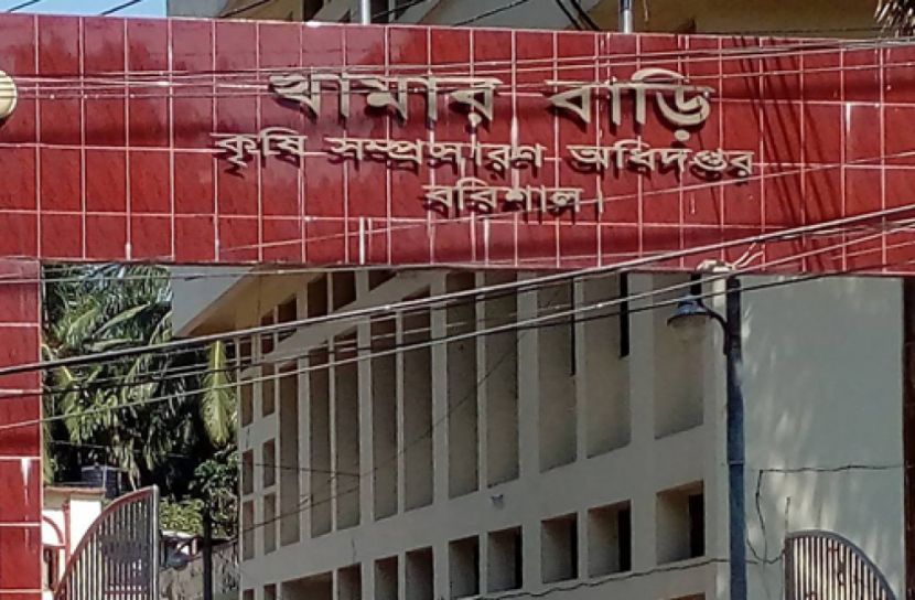 বরিশালে মোট আবাদের ৭৫ শতাংশ সবজী ক্ষেত ক্ষতির মুখে