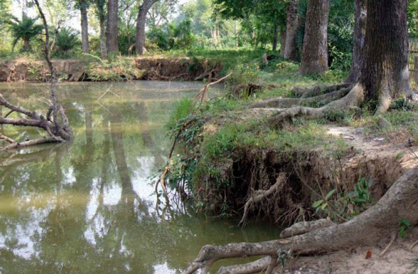 পাবনায় সরকারি পুকুরে জোর করে মাছচাষ, হুমকির মুখে বিদ্যালয়