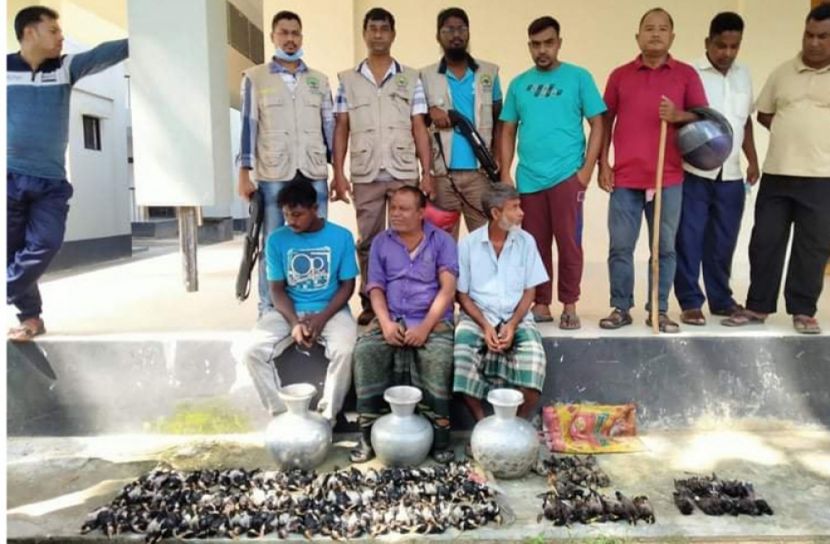 চুনারুঘাটে পাখি নিধন, ৩ জনকে কারাদণ্ড