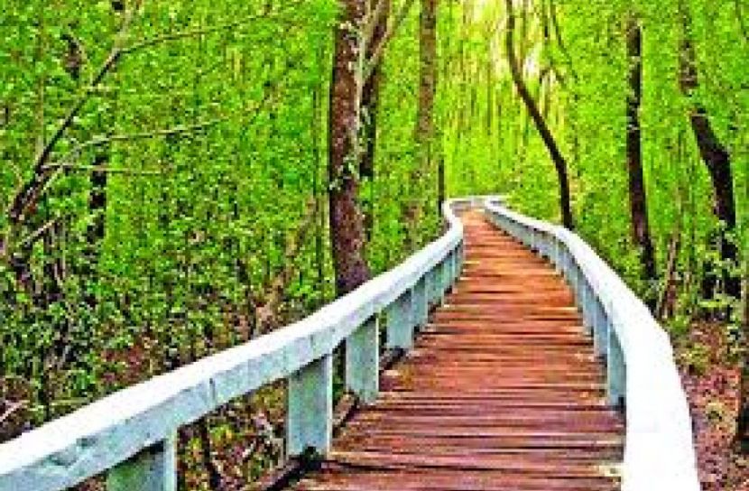 খুলছে সুন্দরবনের সকল পর্যটন কেন্দ্র