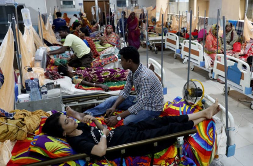 রাজধানীতে হঠাৎ বাড়তে শুরু করেছে ডেঙ্গু রোগী