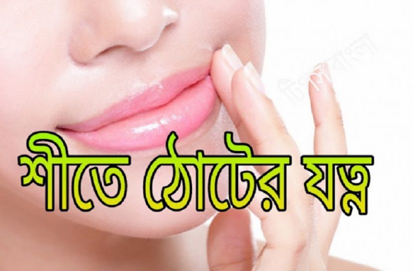 শীতকালে ঠোটের যত্ন