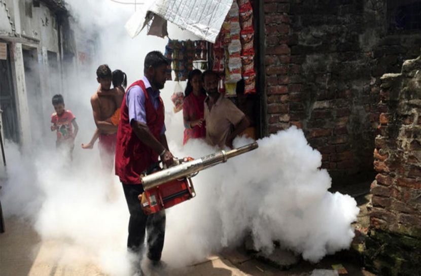 মশা নিধনে ডিএনসিসির নতুন কর্মসূচি