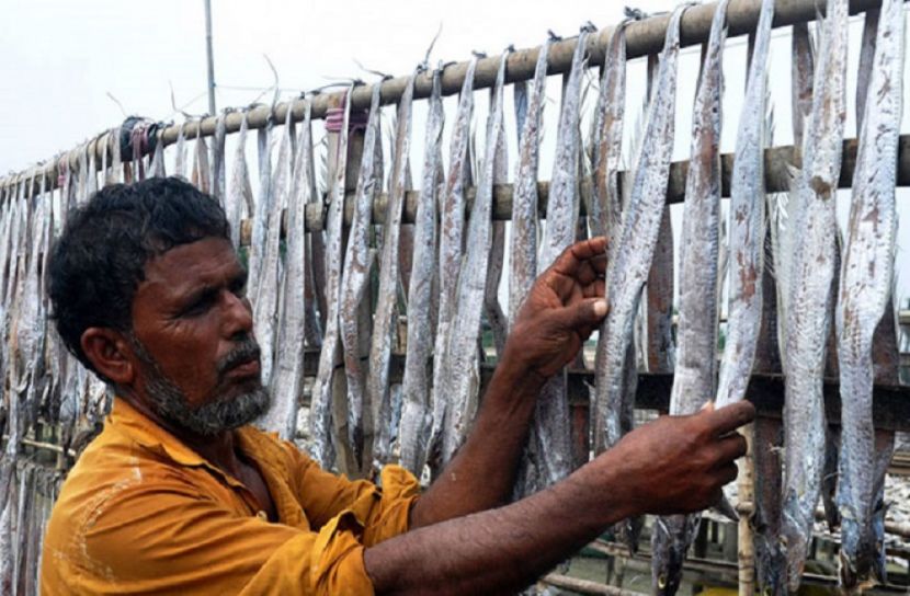 কক্সবাজারে ১৯৮ কোটি টাকা ব্যয়ে শুঁটকি উৎপাদন প্রকল্প