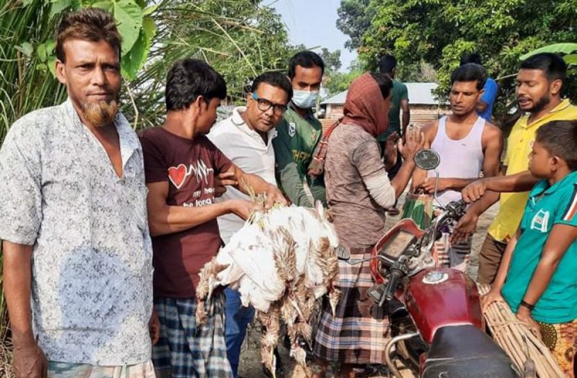 নাটোরে দু’পাখি শিকারীকে জরিমানা, ২৩টি বক জব্দ