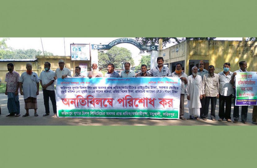 ফরিদপুর চিনিকলের অবসরপ্রাপ্ত শ্রমিক-কর্মচারীদের প্রাপ্য গ্রাইচ্যুটির দাবিতে মানববন্ধন