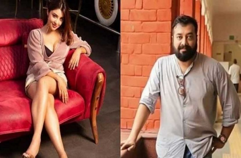 ধর্ষণের চেষ্টা মামলা করলেন নায়িকা পায়েল