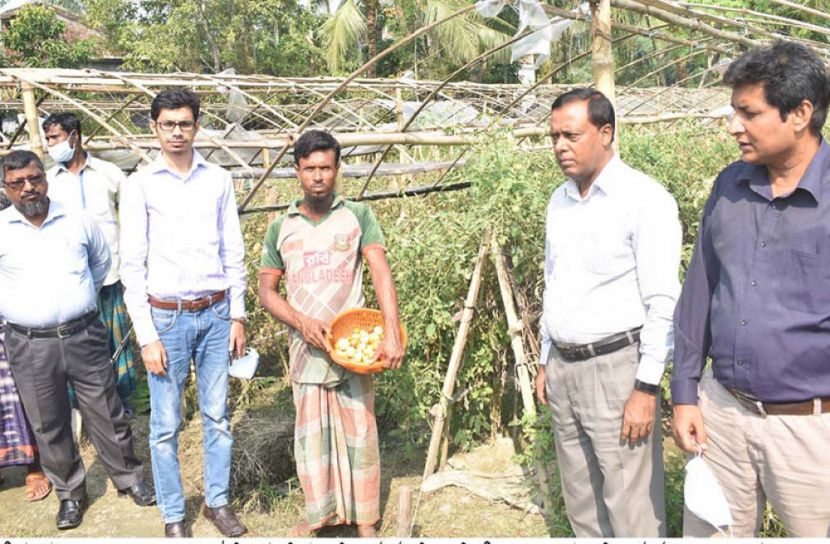 গ্রীষ্মকালীন টমেটো চাষাবাদ সম্প্রসারণের লক্ষ্যে সাতক্ষীরায় মাঠ দিবস