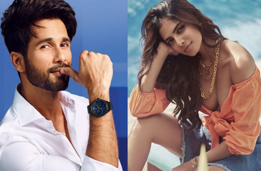 এবার তামিল নায়িকা মালবিকার সঙ্গে জুটি বাঁধলেন শহিদ কাপুর  