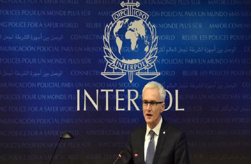 স্থগিত হয়ে গেল ইন্টারপোলের ৯১তম বার্ষিক অধিবেশন