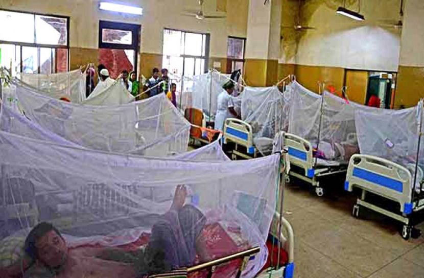 ২৪ ঘণ্টায়  হাসপাতালে ভর্তি ১৫ ডেঙ্গু রোগী