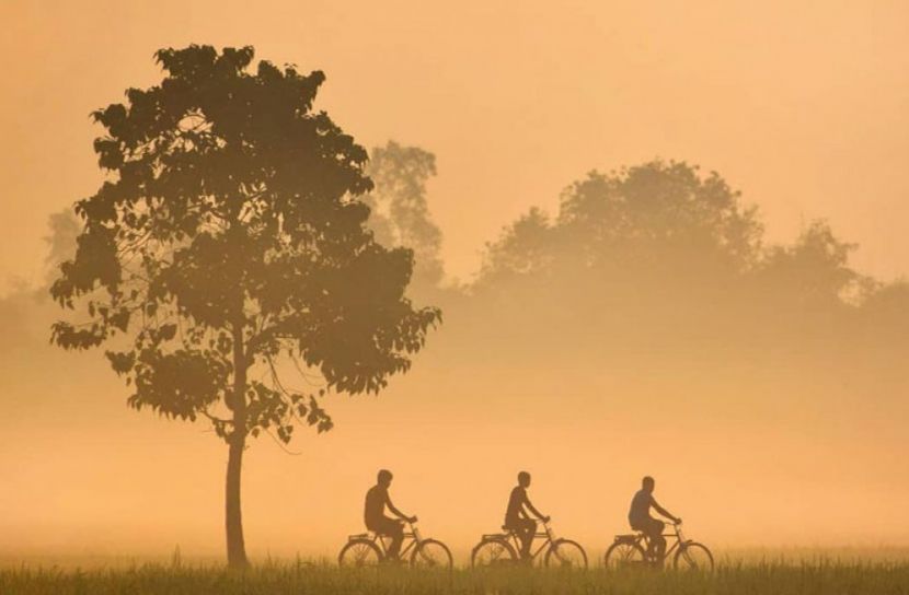 কুয়াশার চাদরে সোনালী রোদ