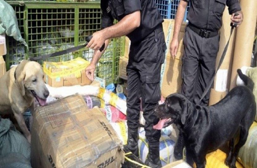 শাহজালালে মাদকের সন্ধান করবে ডগ স্কোয়াড