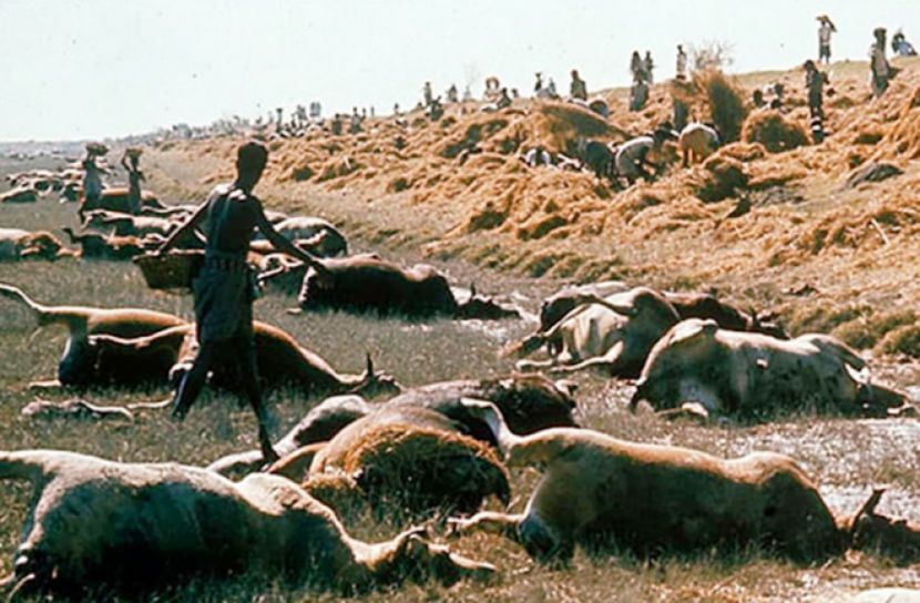 ৭০ এর সেই ঘূর্ণিঝড় আজও কাঁদায় উপকূলবাসীকে