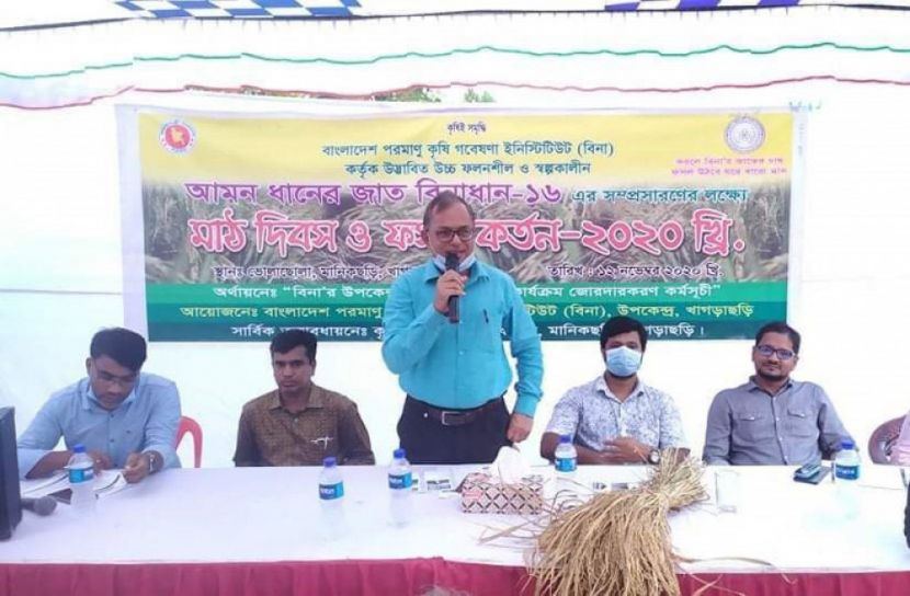 মানিকছড়িতে বিনা ধান-১৬ মাঠ দিবস ও ফসল কাটা অনুষ্ঠান