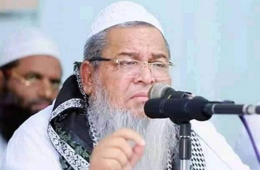 মুরুব্বিরা জোর করে আমাকে দায়িত্ব দিয়েছেন : বাবুনগরী