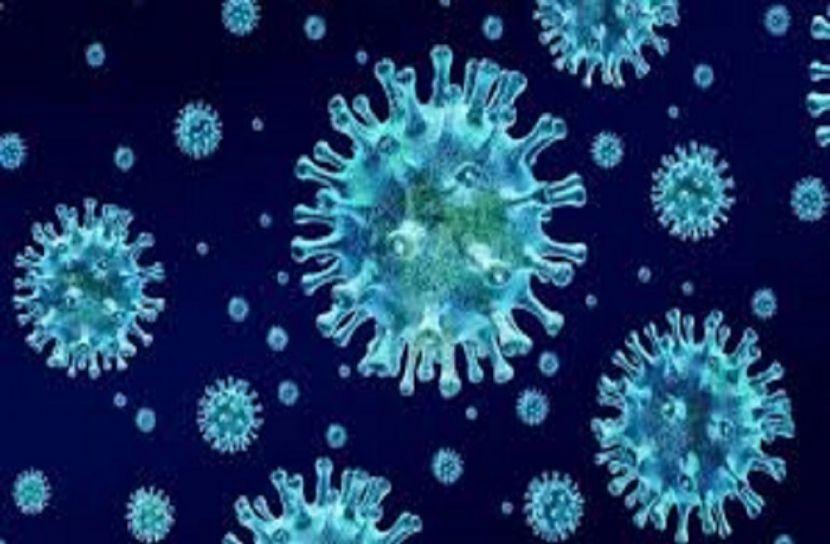 আগামী শীতে দূর হবে করোনা মহামারি