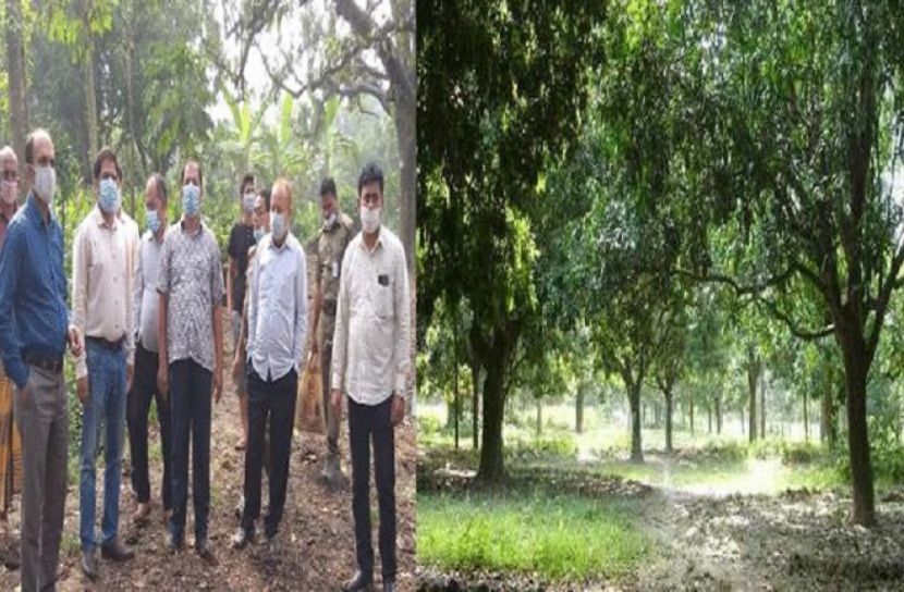 পাখির বাসা ভাড়ার  টাকা পরিশোধ করছে সরকার