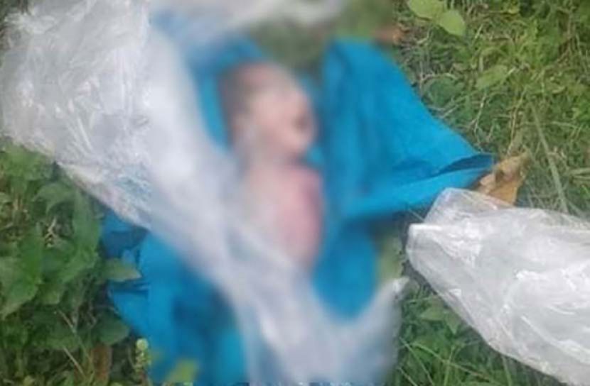 পলিথিনে মোড়ানো নবজাতকের লাশ, কিছু অংশ কুকুরে পেটে