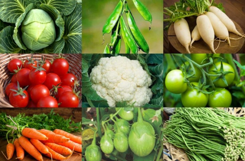 বাড়ছে সরবরাহ, কমেছে শীতের সবজির দাম