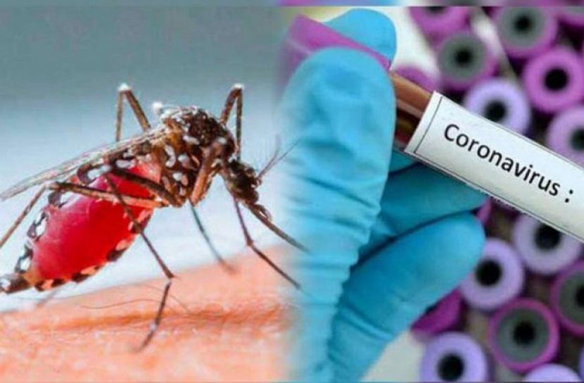 ডেঙ্গু শূন্য বরিশালে করোনা নিয়ে ‘টেনশন’