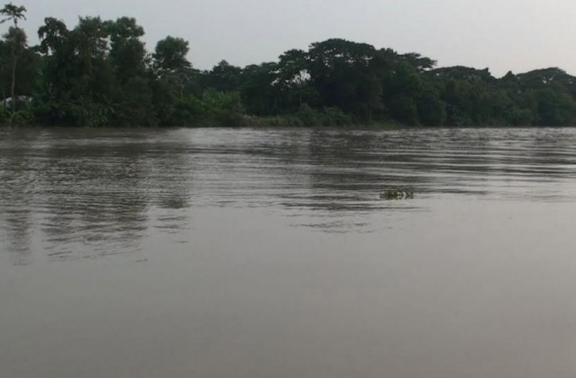 শনিবার গোপালগঞ্জে অনুষ্ঠিত হবে জাতীয় দূরপাল্লা সাঁতার প্রতিযোগিতা  