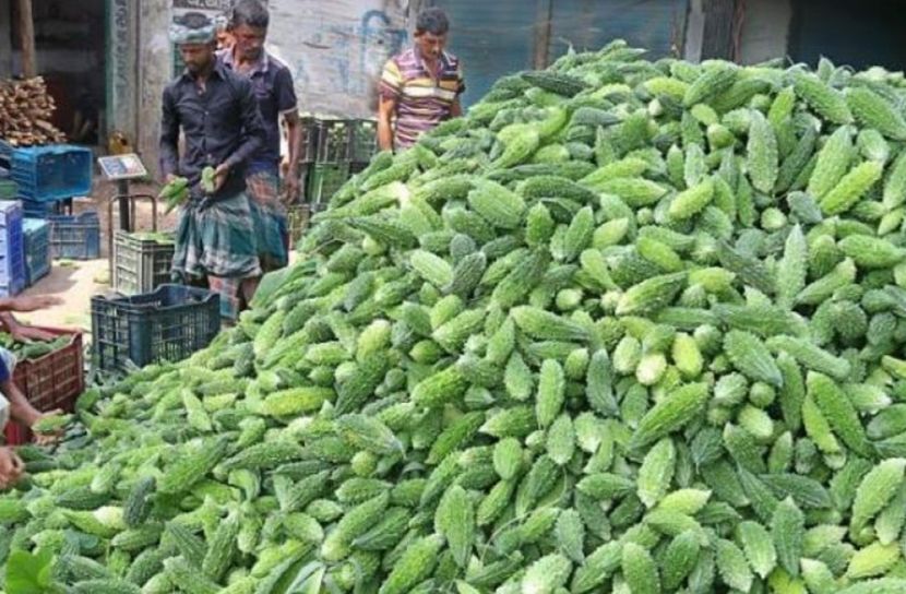 করলা হাসি ফুটাচ্ছে কৃষকদের