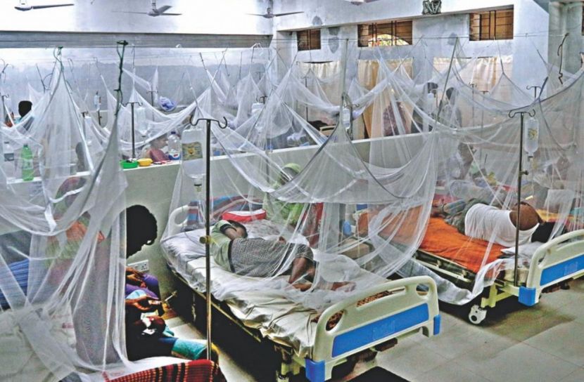 হু হু করে বাড়ছে ডেঙ্গু আক্রান্ত, নভেম্বরেই ৫০৭