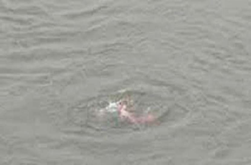 নিখোঁজের একদিন পর শিশুর লাশ মিলল পুকুরে