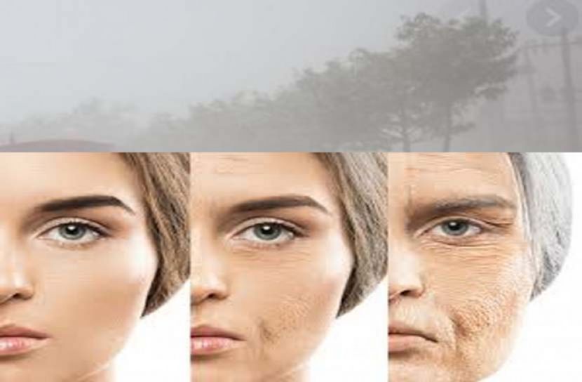 বায়ু দূষণে অকাল বার্ধক্য! বিশেষজ্ঞ টিপস