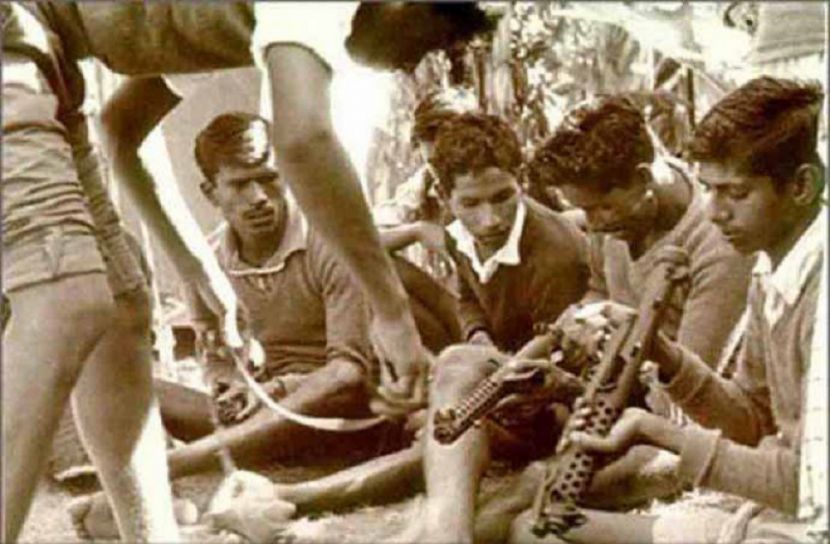 সাতক্ষীরা মুক্ত দিবস আজ