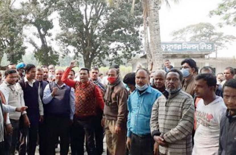 চিনিকল শ্রমিকদের বিক্ষোভ সমাবেশ অব্যাহত 
