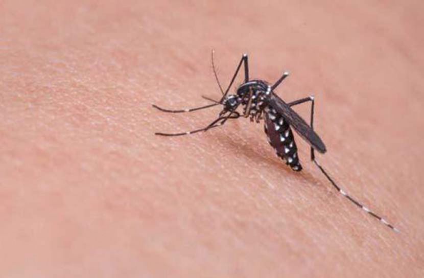 খুলনায় প্রথম ডেঙ্গু রোগীর মৃত্যু